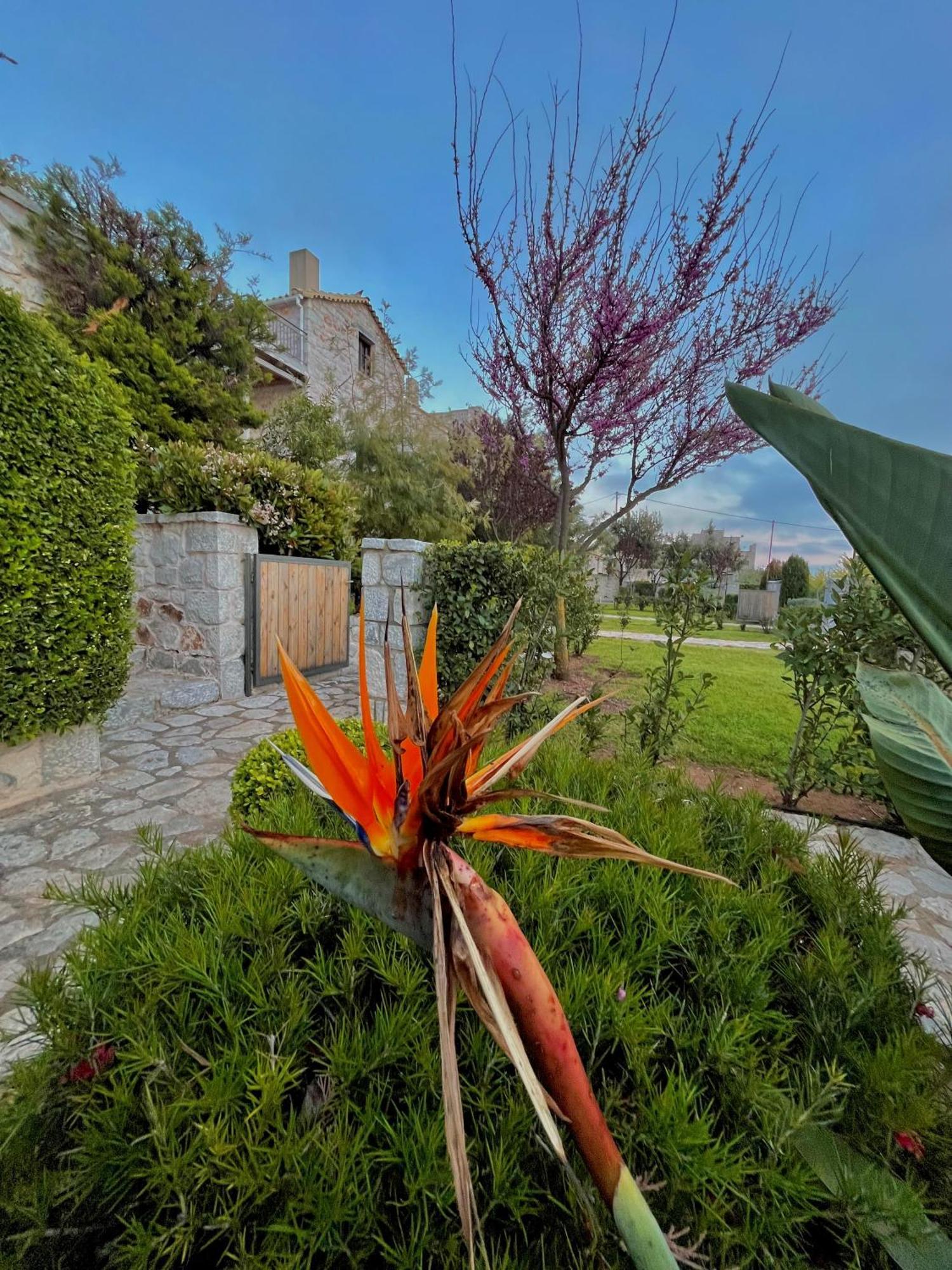 Achelatis Traditional Guest Houses Areopoli Exteriér fotografie